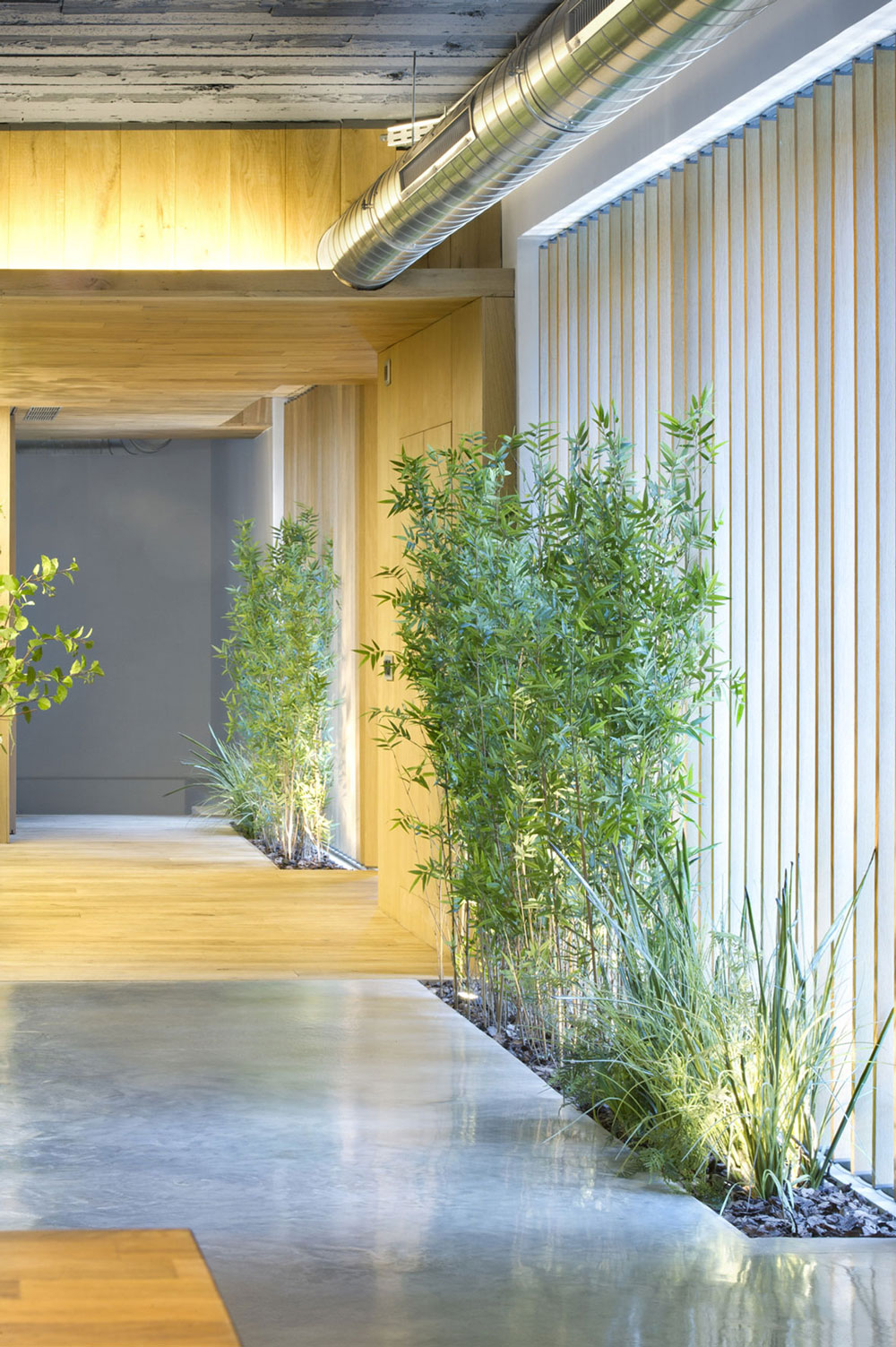 Hallway, Plants, Loft Style Home in Terrassa, Spain : Fresh Palace